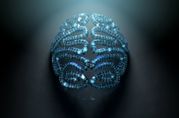 http://www.staceybarr.com/images/AIbrain.jpg