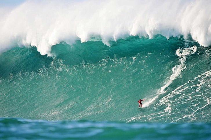 http://www.staceybarr.com/images/bigwaveandsurfer.jpg