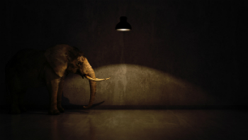http://www.staceybarr.com/images/elephantintheroom.jpg