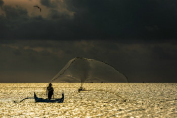 http://www.staceybarr.com/images/fishermancastinganet.jpg