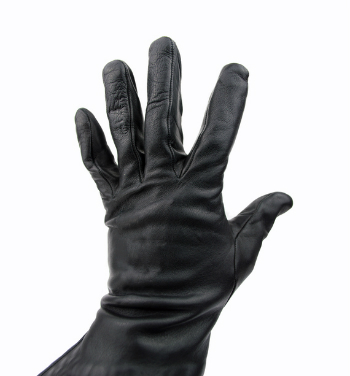 http://www.staceybarr.com/images/glovedhand.jpg