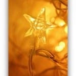 golden fairy lights